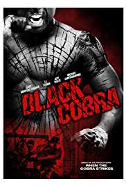 Black Cobra 2012 Dual Audio Hindi 480p 300MB Filmy4WEB