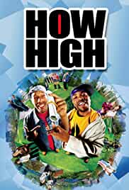 How High 2001 Dual Audio Hindi 480p Filmy4WEB