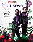 Hawkeye All Seasons Hindi 480p 720p HD Download Filmy4WEB  Filmywap